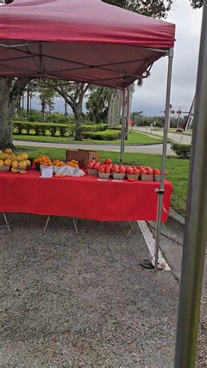 Miromar Outlets Pop-Up Weekly Market Today 9-1 | Shopping Shenanigans Pop-up Markets | Facebook