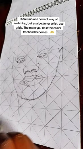using grids to learn how to sketch #art #artist #artistillustration #sketchkit