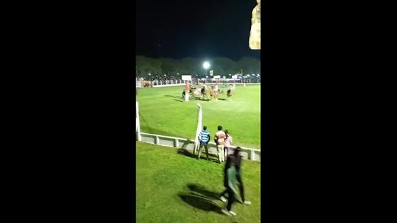 Horse panics during rodeo and causes chaos in Santa Fe, Argentina
