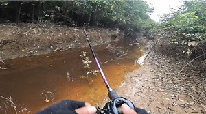 280K views · 3.6K reactions | Mancing di parit dalam hutan Kalimantan Satu dua kali lempar umpan orange langsung di sambar ikan | Go Fishing Adventure | Facebook