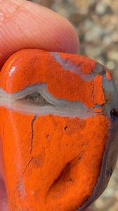 Michigan Rocks on Reels