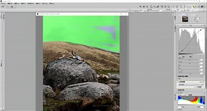 12、尼康Capture NX2 修图软件填充和清除工具的使用方法