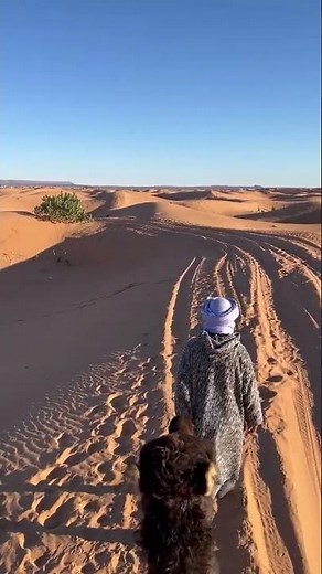 Camel Trekking, Erg Chebbi, Sahara Desert, Morhara Morocco Tours from Dev C. 🐫