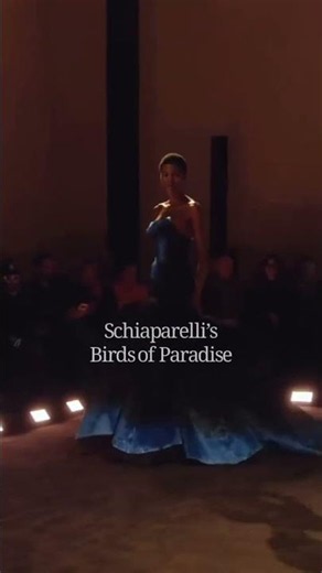 Schiaparelli’s 65,000 Feather Masterpiece Just Reset Fashion History! 🔥 Birds of Paradise