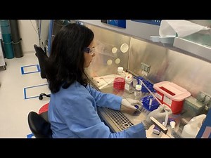 A step-by-step workflow for a knock-out experiment in an adherent cell line