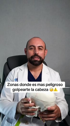 Peligros de Golpearte la Cabeza: Áreas Vulnerables y Consecuencias Mortales
