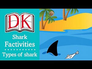 Activities for Kids: Shark Facts