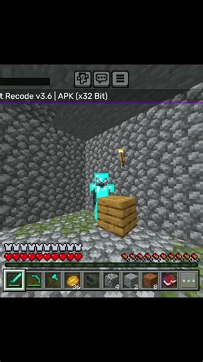 #survival #minecraft #server