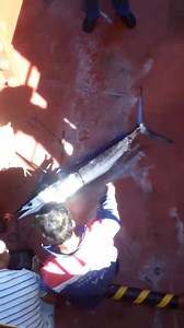 599K views · 6.5K reactions | Full fight of blue Marlin in trolling method using DIY REEL ONBOARD #SEAMAN #catchatsea @Petsburgs Acronem | Seaman OnLine | Facebook
