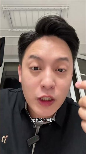 The Ultimate Dog Toy That's Taking the Internet by Storm