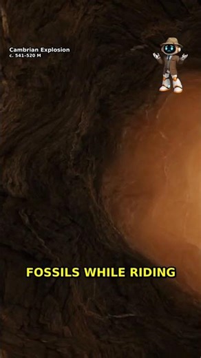 CAMBRIAN FOSSILS The Crystal Window of Life