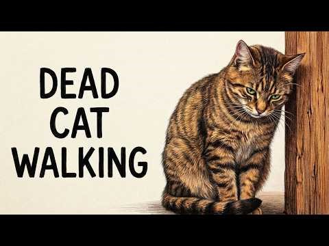 These 9 Everyday Things HURT Your Cat's Feelings