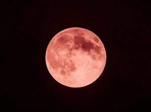 Full Strawberry Moon Ushers In Summer: When To See It In Long Beach