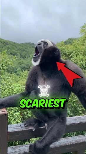 THERE are TOP 5 most SCARY animal SOUNDS 😰 #sound