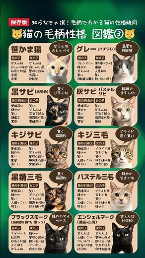 【保存版】🐱猫の毛柄性格 図鑑③🐱 #にゃんゼミ #猫のいる暮らし #cat #猫雑学