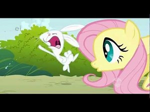 Fluttershy and Angel
