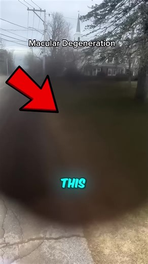 Understanding How Blind People Perceive the World