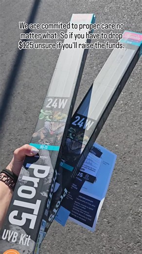 Mike & Sully are 2 months old and got injuries from a cat about a month ago. We are at capacity but I knew these babies needed us. They had to be setup in a different room on the floor. They both need to go to the vet and have appts tomorrow. Yes they blankets, I know the haters are coming for me. They are tiny babies who have been through a lot. So they are in hospital setup until their vet appts tomorrow. They will be switched to flooring and more stuff if allowed. If you can help with their m