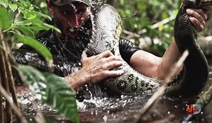 "Eaten alive", el documental donde un hombre es engullido por una anaconda