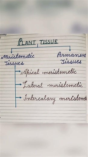 #plant #tissue