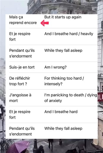 Learn French Basics Effortlessly