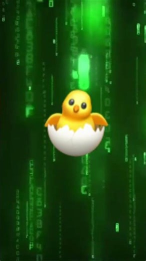 I don’t know how a duck came into binary code
