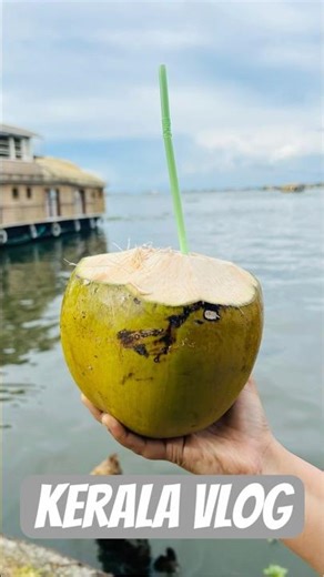 Kerala Travel Vlog 🇮🇳 | Munnar, Thekkady, Alleppey Houseboat & Kerala Food Experience