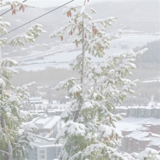 Snow is falling in Park City—get ready to explore boundless terrain and vibrant town nights at the largest ski resort in the U.S. | Park City Mountain