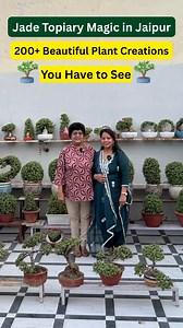 668K views · 13K reactions |  Jade Topiary Magic in Jaipur! 200+...