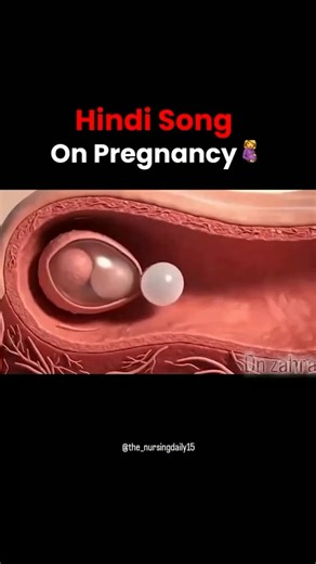 Explore Nursing 👨‍⚕️⚕️♻️🇮🇳 on Instagram: "This is what happens in Pregnancy and how a child is born. #pregnancy #child #foetus #exploremore"