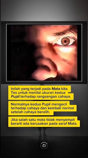 Mata Manusia Di Saat Gelap & Terang. #fakta #kesehatan #edukasi #pengetahuan #tamubumi