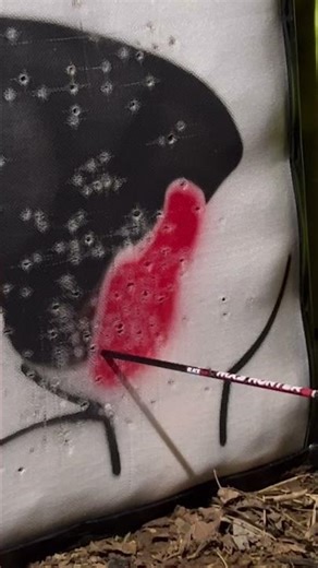 Happy new years!!!! Last shot of 2025!!