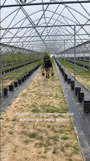 Protech Hybrid Greenhouse with automatic climate control and raspberry support system