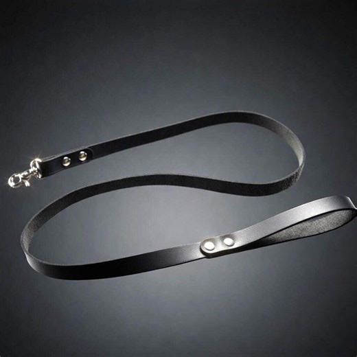 Leather BDSM Leash & Petplay, Puppy Play, Kitten Play Submission Bondage - Mature - Etsy