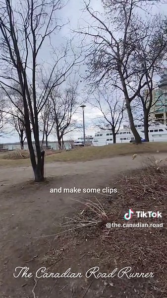 Harbour Water Front l Lake Shore l Toronto l Canada l Toronto Tourist Attraction l Toronto Cruise Ship l Life in Canada l Summer in Canada l Pakistani in Canada l Pakistani in Toronto🇨🇦🇨🇦🇨🇦 #pakistaniincanada #pakistaniintoronto #lifeincanada #torontoharbourwaterfront #lakeshore #lakeshoretoronto