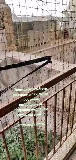 Exploring String Instruments in Outdoor Settings