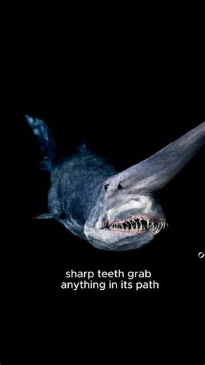 This is the demon of the ocean abyss