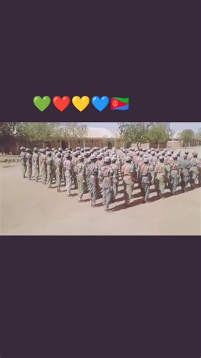 Eritrean Defense Forces: Military Formation Overview