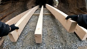 Part 2: Careful Carving – Hollowing the Tree Trunk by Hand | Grey's Anatomy Fan Club