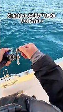Testing the power of Daiso Tairaba lures to catch high-quality fish! Tackling the power of Daiso ...