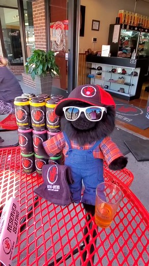 🐻🍔🍺 Gene The Bear is hanging out in downtown Bryson City, NC off Everett Street at Native Brews Tap & Grill! 🎶 This local spot has it all — delicious food, cold craft beers, refreshing ciders, and a friendly mountain vibe. A perfect place to relax after exploring the Smokies. 🌄✨ 📍 Book your stay at Nantahala Cabins and taste all the flavors of Bryson City! Nantahala Cabins Visit Smokies @NativeBrews🌐 www.nantahalacabins.com | 📞 (828) 488-1622 #NantahalaCabins #GeneTheBear #BrysonCityNC #