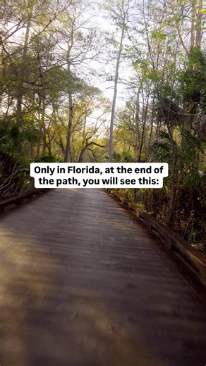 Tampa Palms between holes 13 and 14 is stunning 👀 #golfcourse #golf
