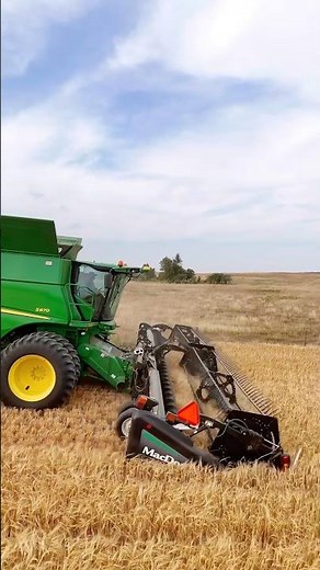 Combine Harvester in Action! 🚜🌾 #shorts