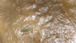 Stream water flowing in rainforest
