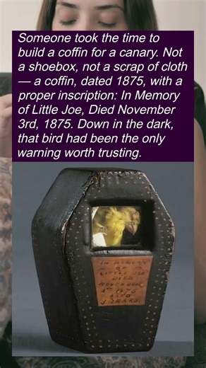 The Canary Who Died So Miners Could Live