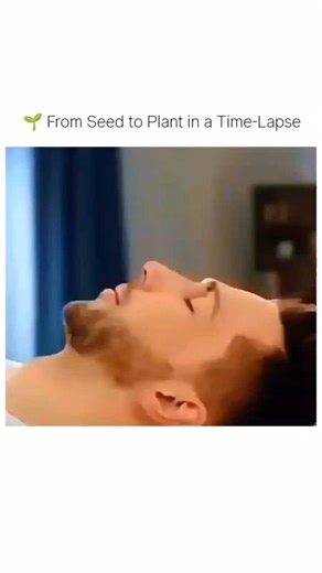 Science on Instagram: "🌱 Ever wondered how a tiny seed transforms into a full-grown plant? This time-lapse shows that process in just a few seconds — something that normally takes days or even weeks. From breaking the soil to spreading its first leaves, every stage reveals the miracle of growth and the power of nature. 🌿✨ Plants may grow slowly, but when you look closely, science becomes magical. 🔍💚 . . . #PlantGrowth #TimeLapse #trending"