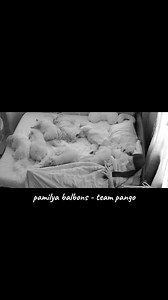 56 reactions · 9 comments | gawain ng mga pango pag hapon bawal kang tumayo kasi magigising sila狼 at nakakahiya naman sa kanila藍 #siyestatime | Pamilya Balbons - Team Pango | Facebook