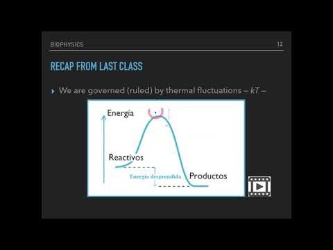 Clase BioFísica 02 (parte I)