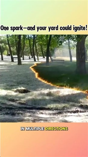 How Cottonwood Fluff Spreads Fire Faster Than You Think #shorts #science #facts #tips #how