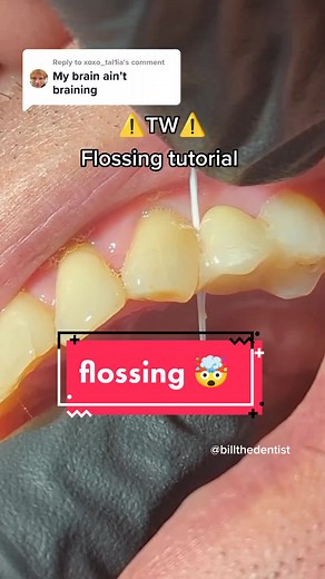 Bill the Dentist | Adelaide on TikTok